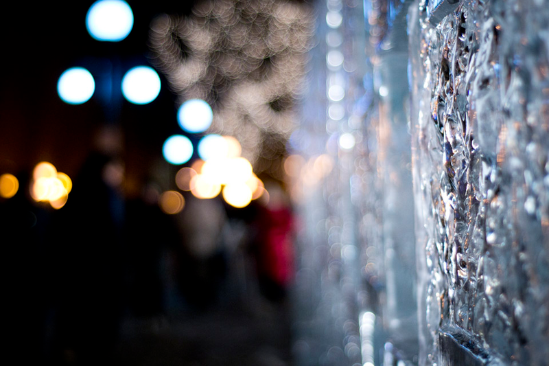 Illustration for article titled Shooting Challenge: Bokeh, Gallery 2